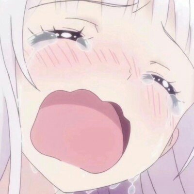 荔枝披萨